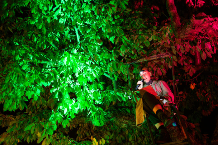 Die tiefen, queeren Wälder vor Bremen