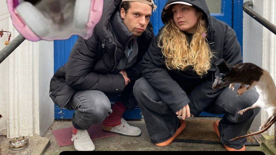 Quiz(t) ihr Ratten