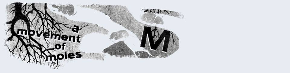 Verschoben: Frank Apunkt Schneider: Querfront der Herzen – Die Heimatsehnsucht im deutschen Pop